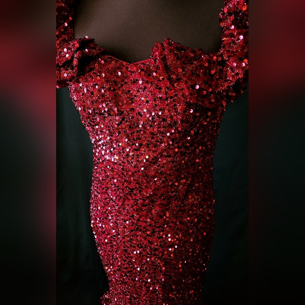 NWT Size XL Long Cranberry Prom/Formal Gown